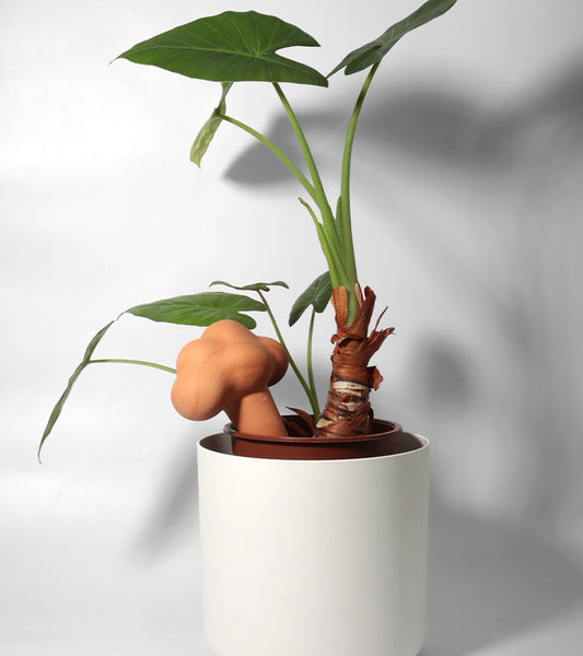 Nuage irrigateur en terre cuite