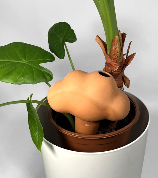 Nuage irrigateur en terre cuite
