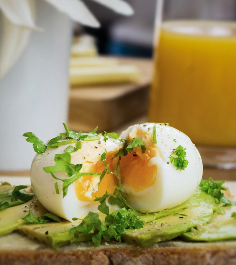 Oeuf-minuteur poussin