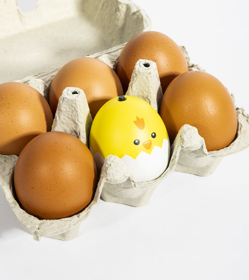 Oeuf-minuteur poussin