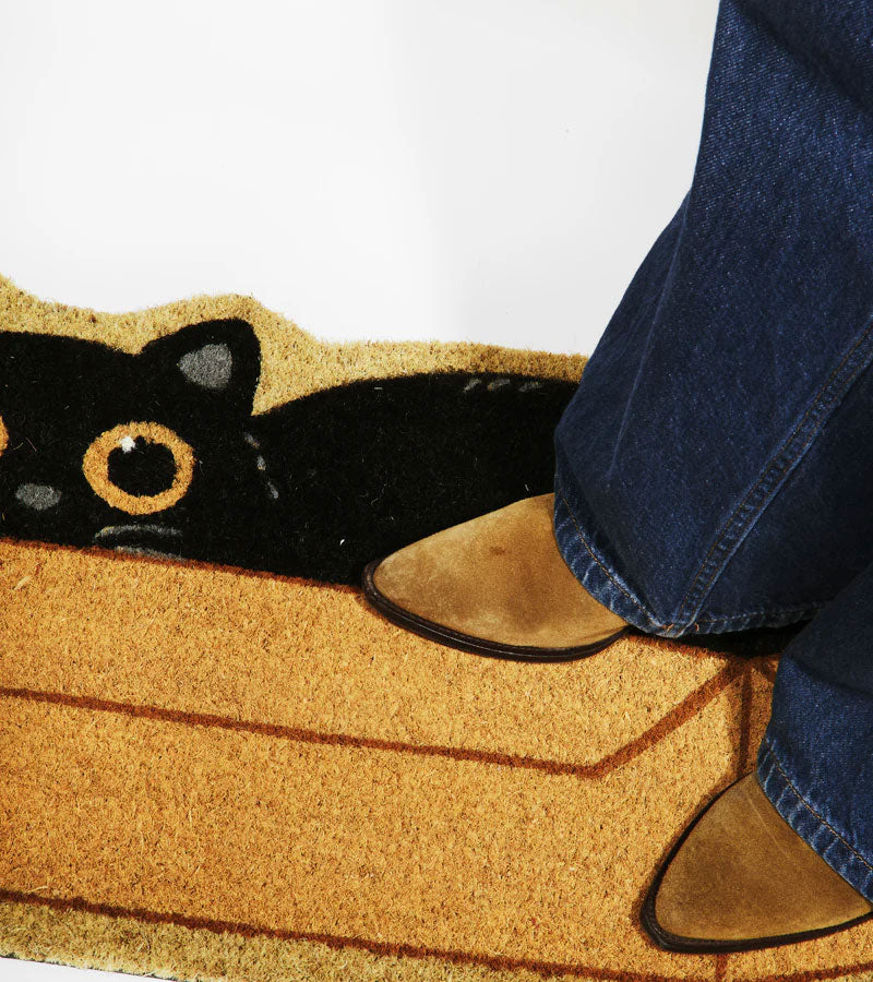 Paillasson chat caché