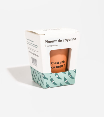 Piment à faire pousser  L'Avant Gardiste
