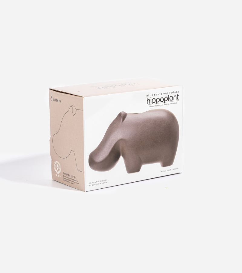 Plante à faire pousser hippopotame Hippoplant 