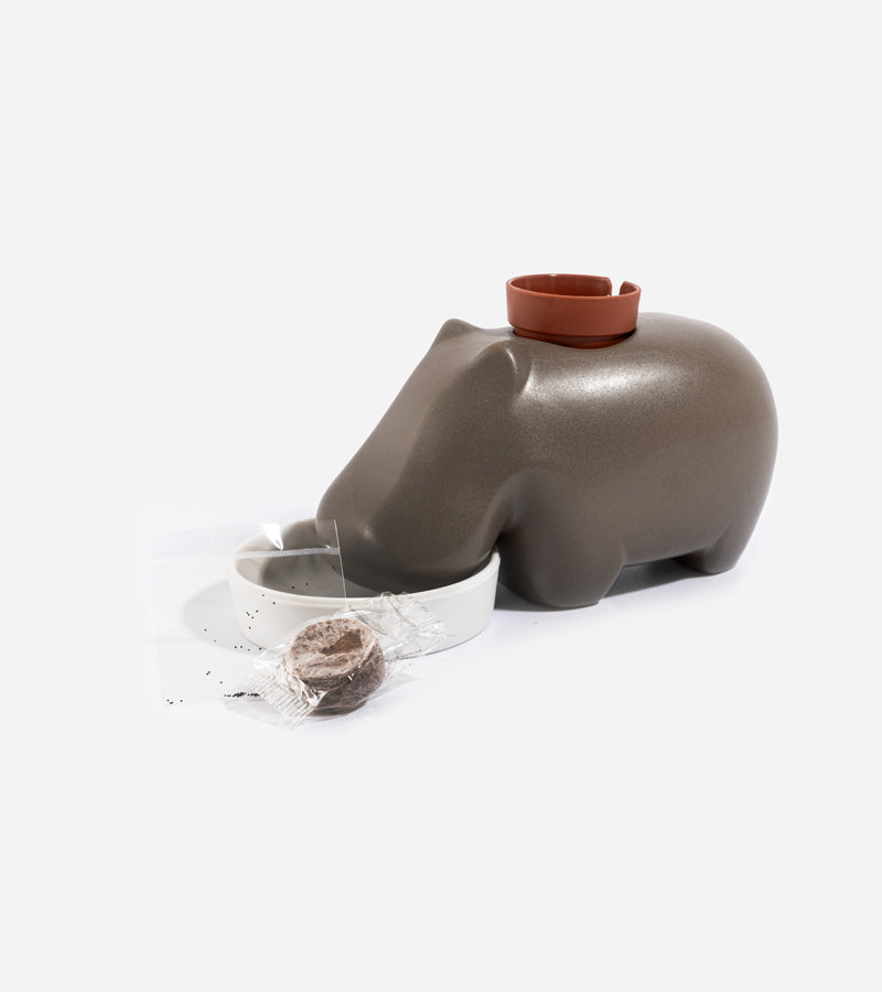 Plante à faire pousser hippopotame Hippoplant 