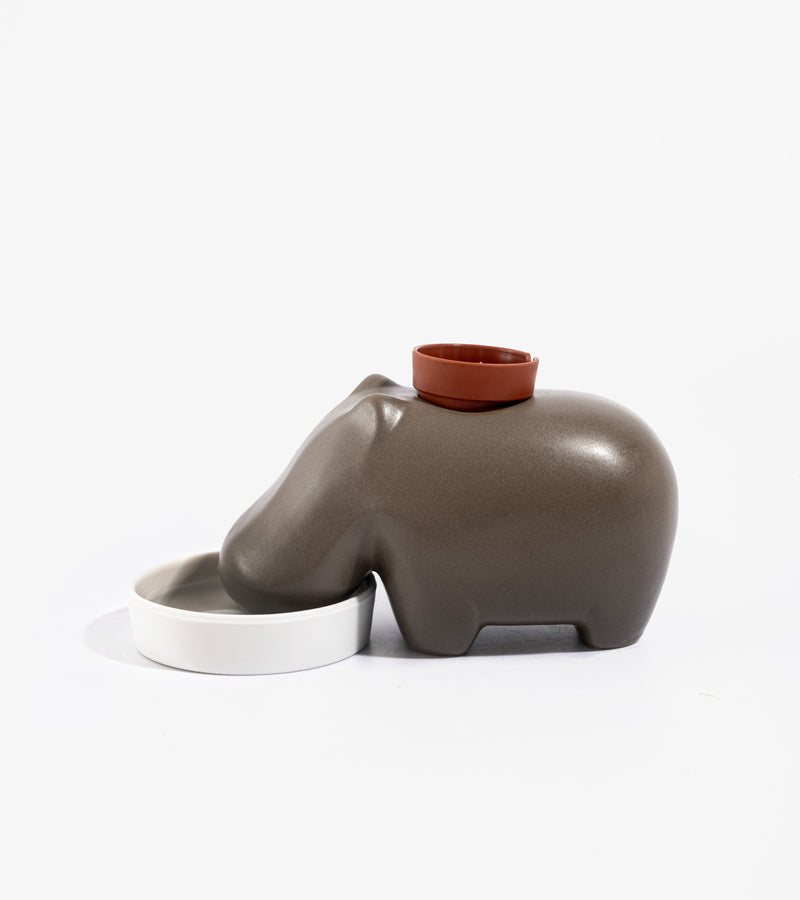 Plante à faire pousser hippopotame Hippoplant 