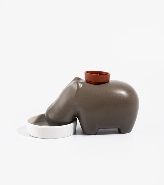 Plante à faire pousser hippopotame Hippoplant 