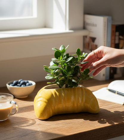 Pot à plante croissant