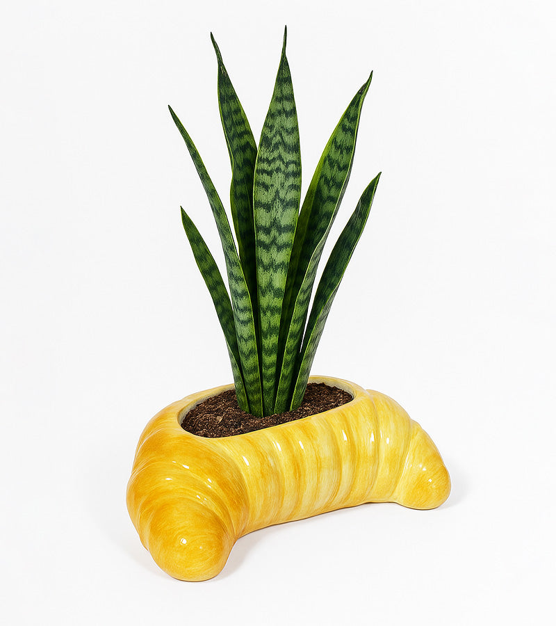 Pot à plante croissant