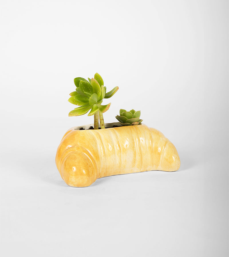 Pot à plante croissant