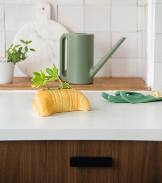 Pot à plante croissant