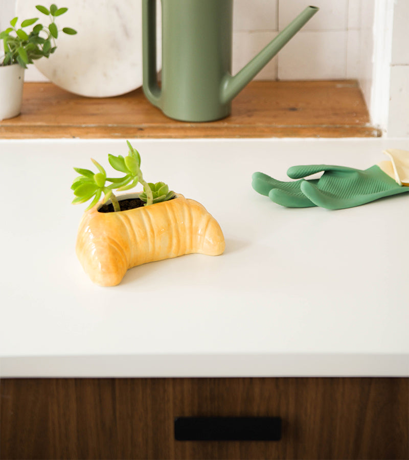 Pot à plante croissant