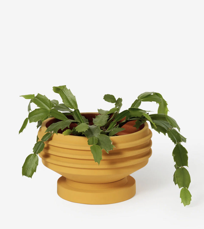 Pot à plante design en céramique