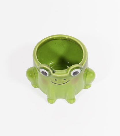 Pot à plante grenouille