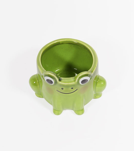 Pot à plante grenouille