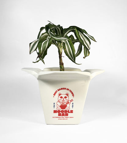 Pot à plantes Ramen