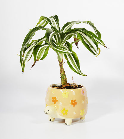 Pot à plantes tortue