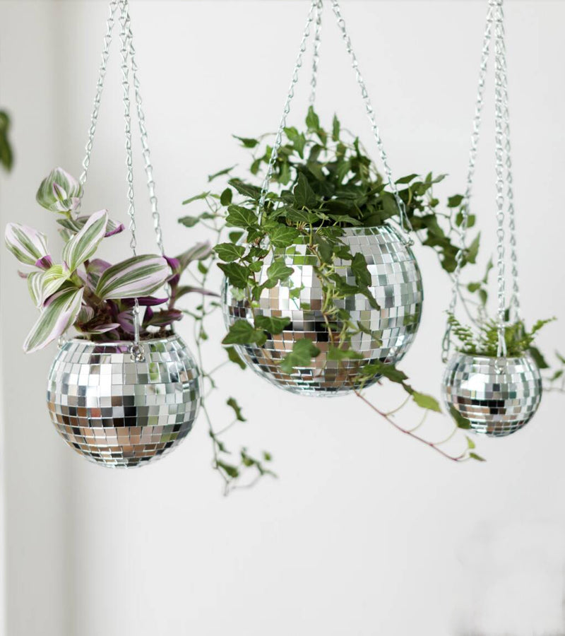 Pot de plantes disco boule à facettes