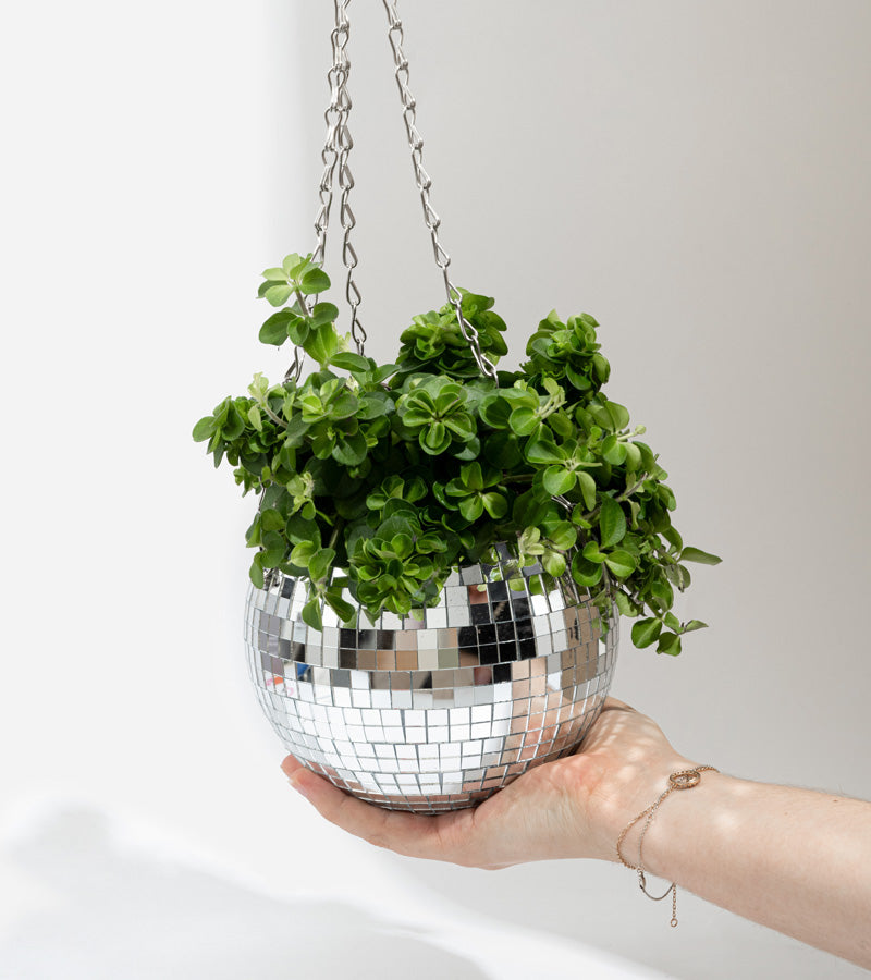 Pot de plantes disco boule à facettes – L'avant gardiste