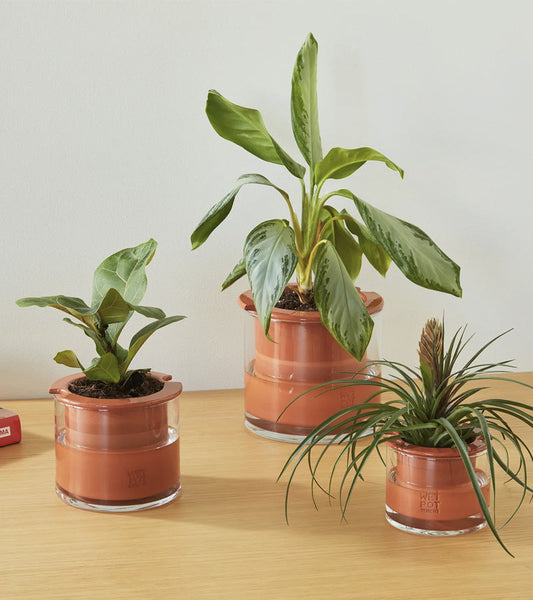 Pot en céramique intelligent Wet Pot Grand  Wet Pot