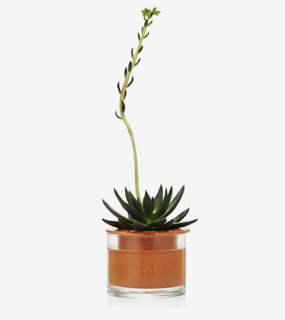 Pot en céramique intelligent Wet Pot  Wet Pot