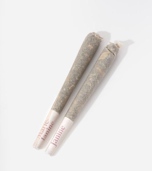 Pré-roll au CBD, pack de 2  Marie Janine