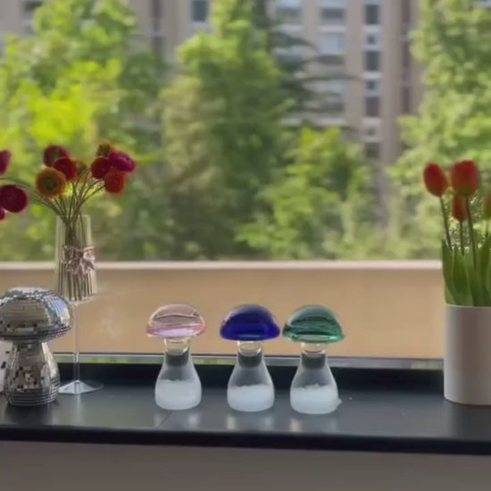 Storm glass champignon