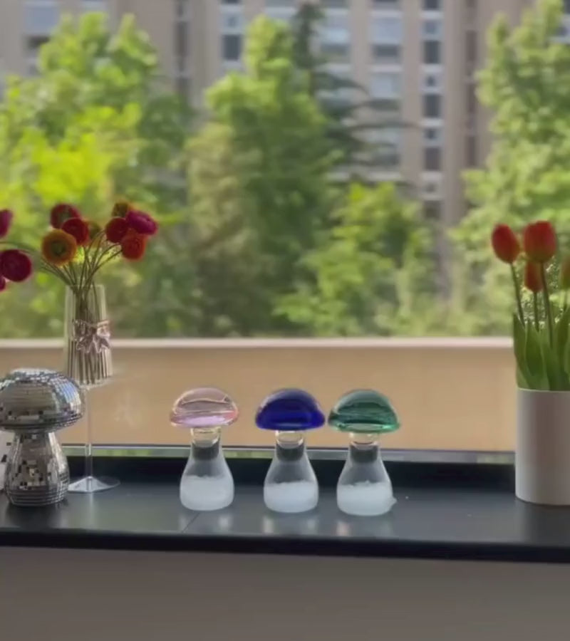 Storm glass champignon