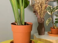 Distributeur d'eau gnome d'arrosage automatique pour plantes : l'allié  idéal pour vos végétaux