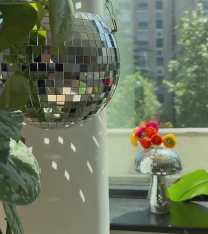 Pot de plantes disco boule à facettes