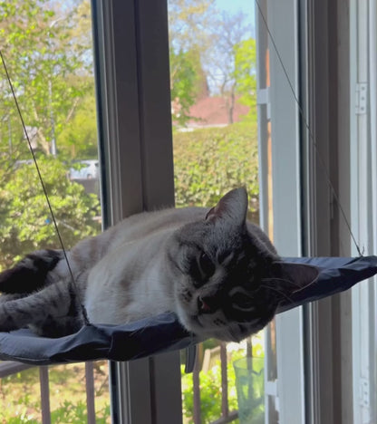 Hamac en bois pour chats