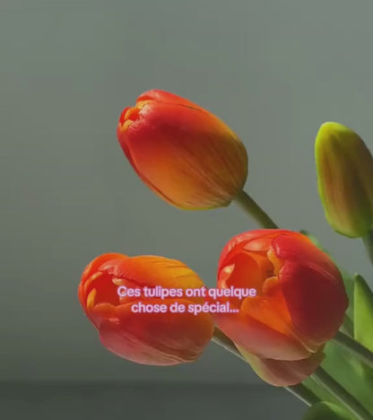 Bouquet de tulipes réalistes