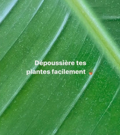 Pince de nettoyage pour feuilles