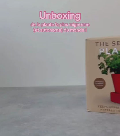 Jardinière autonome en eau