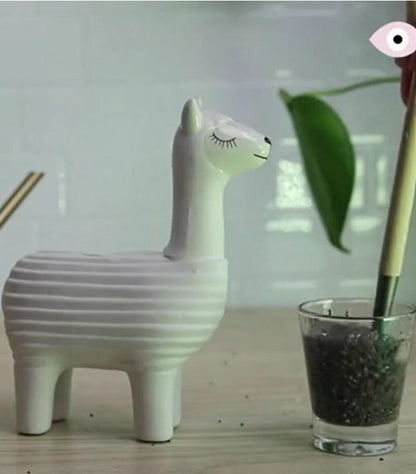 Lama à faire pousser