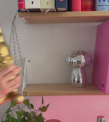 Bernardo le nain de jardin