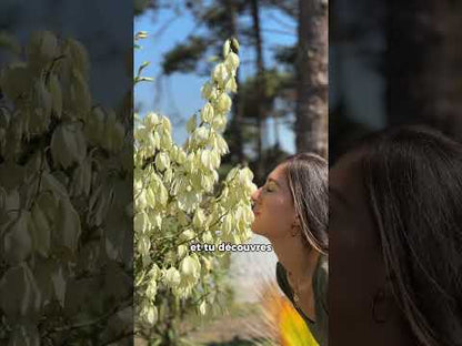 Appareil photo numérique sans écran - Lenscape