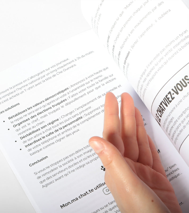 Que faire si mon chat est gay