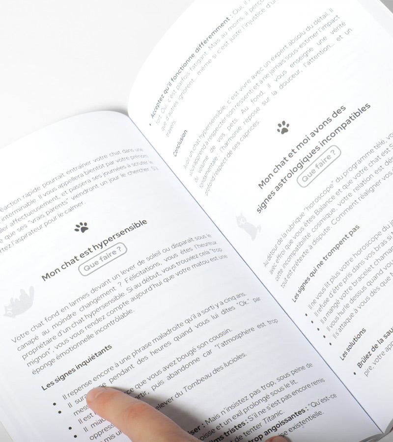 Que faire si mon chat est gay