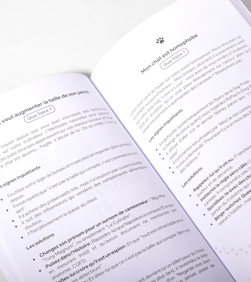 Que faire si mon chat est gay