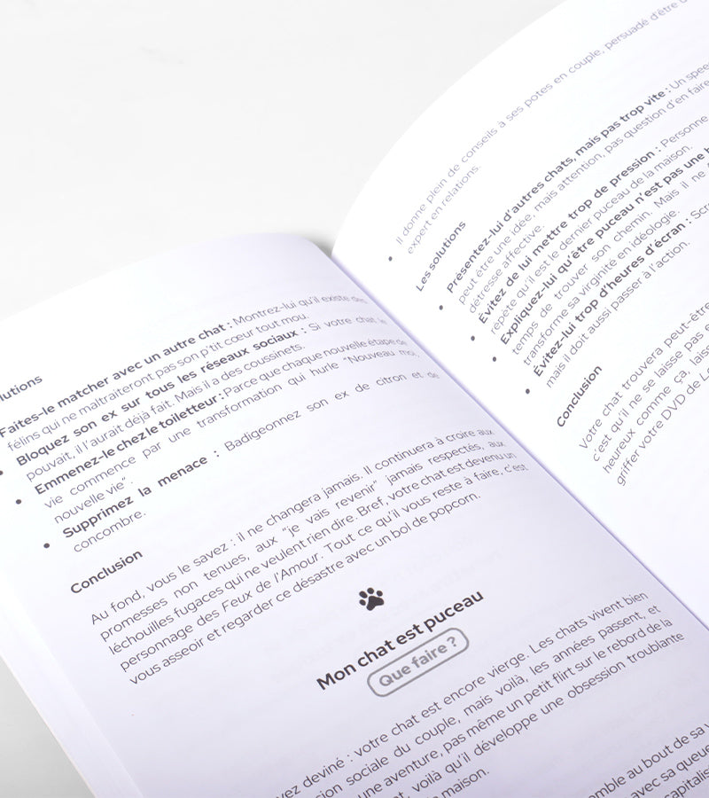 Que faire si mon chat est gay