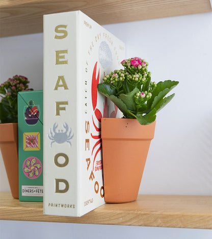 Serre-livres 2 en 1 / Pot à plantes