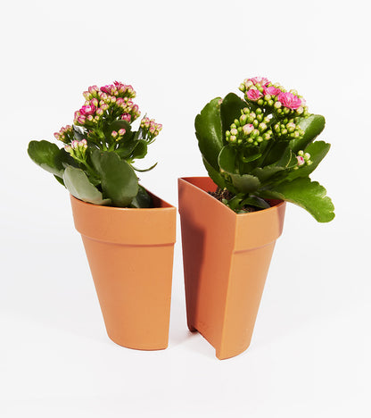 Serre-livres 2 en 1 / Pot à plantes