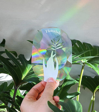 Sticker créateur d'arc-en-ciel magique  Botanopia