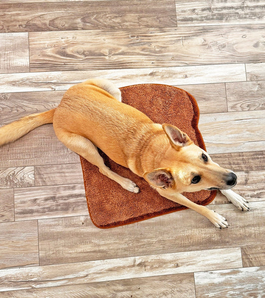 Tapis Toast