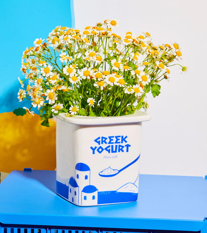 Vase / pot yaourt grec