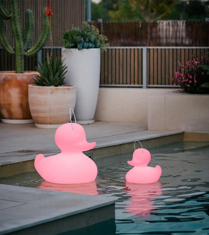 Veilleuse canard flottante