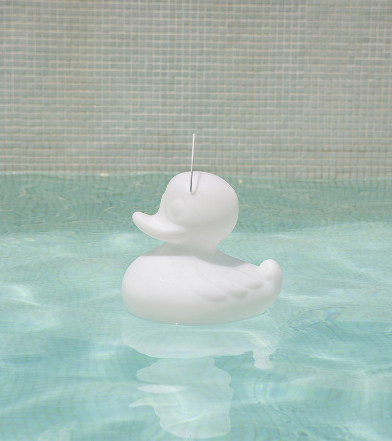 Veilleuse canard flottante