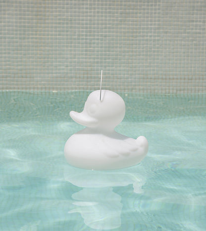 Veilleuse canard flottante