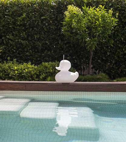 Veilleuse canard flottante