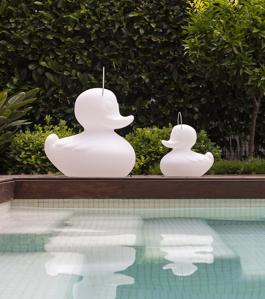 Veilleuse canard flottante